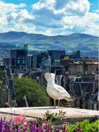 7-Day Itinerary Guide to the UK (Get it Now!)