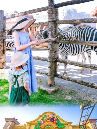 Shocking! A family hotel where you can have breakfast with giraffes