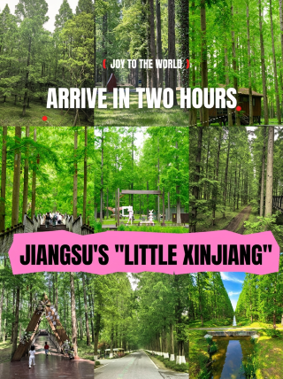 Two-hour direct high-speed train to Jiangsu’s “Little Xinjiang”