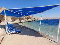 Mixed Feelings on Club Reef Resort: Great Atmosphere Marred by Health Concerns