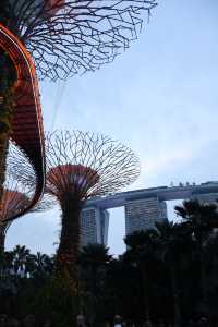 新加坡濱海灣花園｜避開人潮的完美悠遊攻略