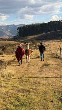 Unforgettable Peruvian Adventure with Exploor Team