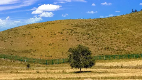 3-hour drive! Discover the "Altay of Northern Beijing" near Beijing — traveler post in Guyuan County