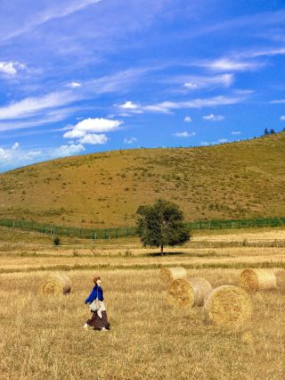 3-hour drive! Discover the "Altay of Northern Beijing" near Beijing