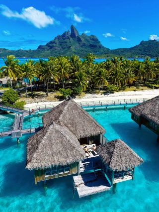 Expensive, but love at first sight! Rush to St. Regis Bora Bora for the most beautiful ocean views