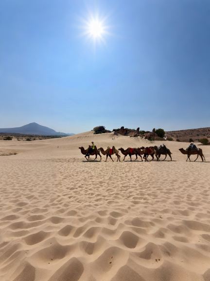 The "collision of desert and lake" favored by "The Continent"! A wonder of the northern frontier