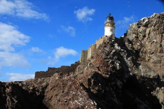 Fantastic Day Trip to North Berwick and Bass Rock