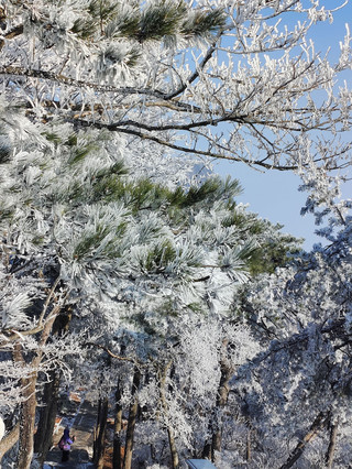 Don't miss out on a mini-vacation to Jiujiang, Jingdezhen, and Shangrao