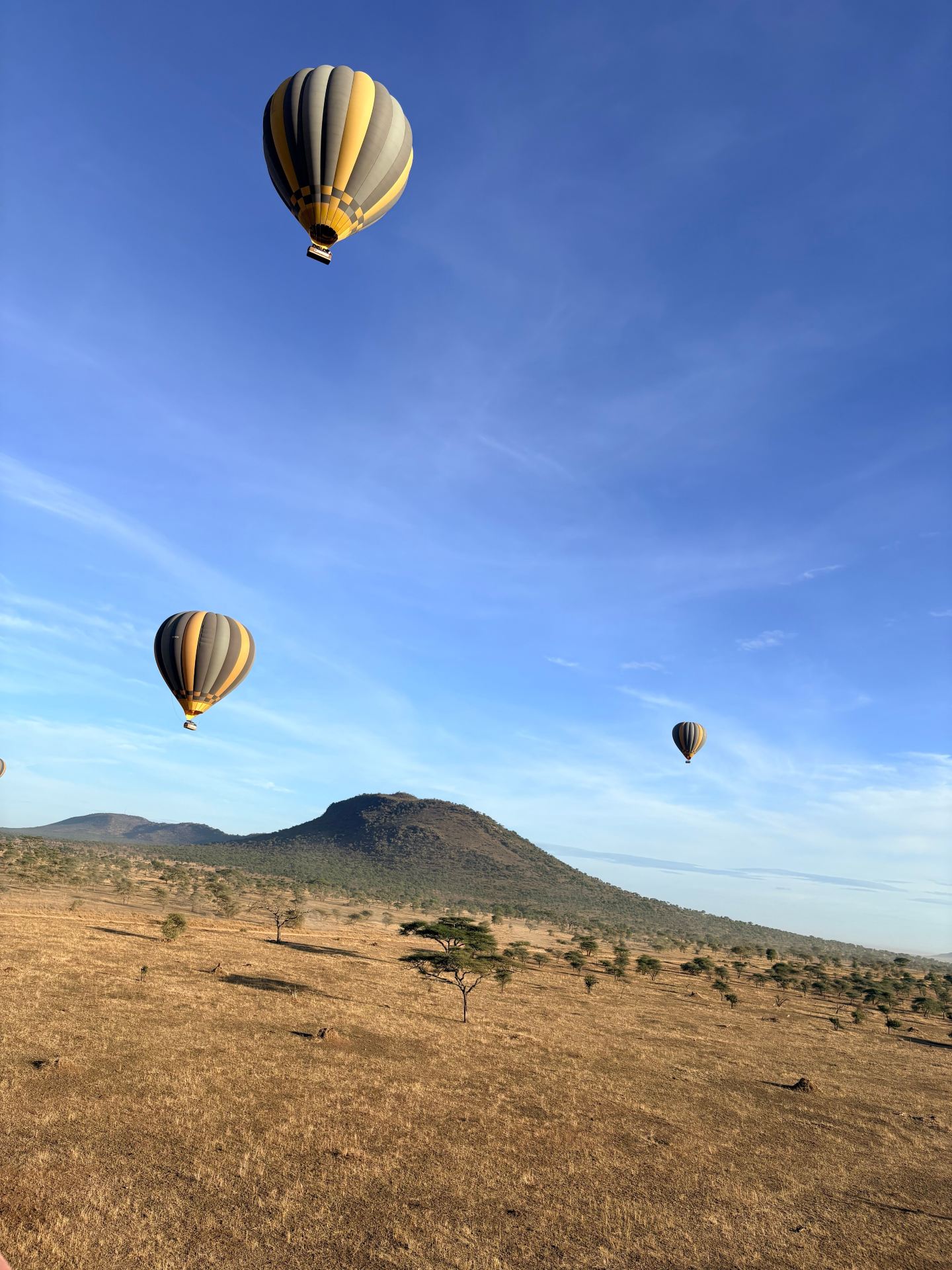 Unforgettable Safari Adventure