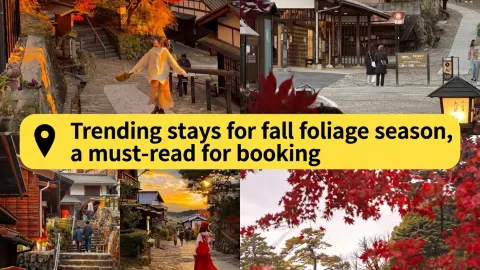 Japan's autumn foliage season is here again! — traveler post in Kobe