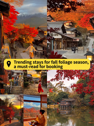 Japan's autumn foliage season is here again!