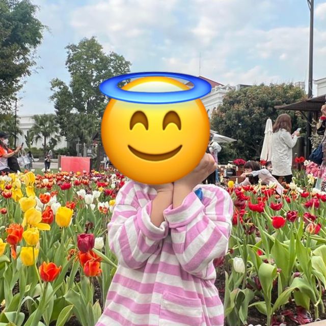 春日限定，大埔Billow高質西餐，兼可欣賞盛開的鬱金香🌷