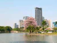 ชมพู่พันธุ์สวนจตุจักร