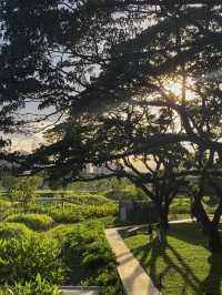 สวนป่าแห่งแรกกลางกรุงเทพฯ สวนเบญจกิติ 🌳