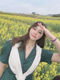 포항항에서 만난 노오란 유채꽃밭 🌼💛