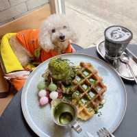 Pet friendly嘅西營盤cafe~ 