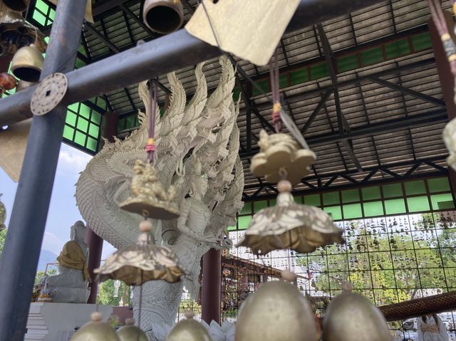 บูชาองค์พญานาค ที่ม่อนพญานาคราชแม่ออน
