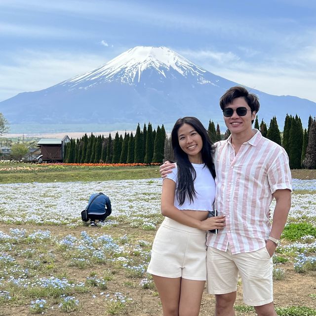 Best view of Mt. Fuji without the tourist