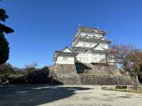 【神奈川】天下の名城！小田原城🏯をご紹介