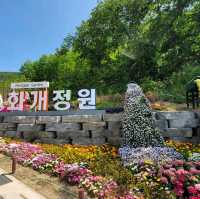 꽃이 가득한 정원으로 탈바꿈한 교동 화개정원🌺