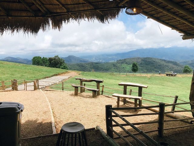 Akha Farmville ฟาร์มแกะดอยช้าง