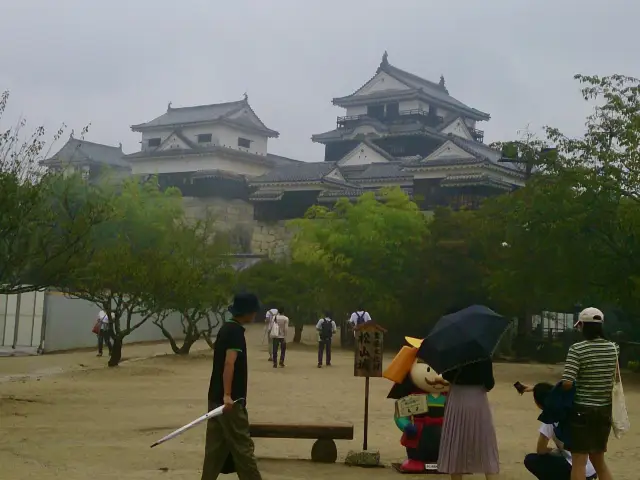 【愛媛】霧雨に映える松山城
