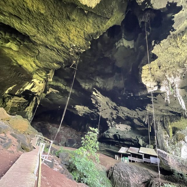 Adventurous exploration with Niah Cave
