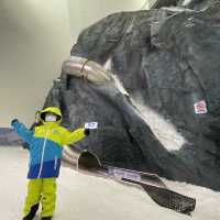 去玩雪啦！九龍出發只需50分鐘車程