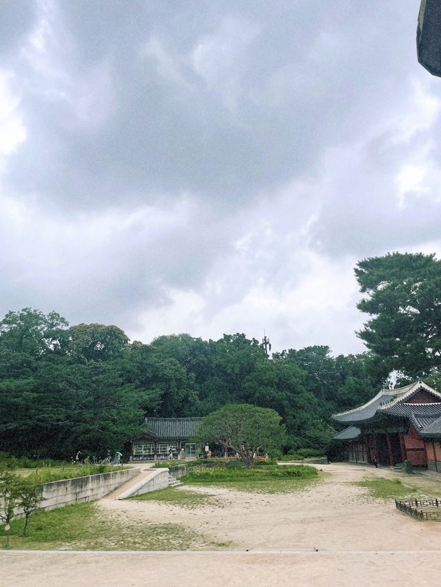서울의 5대 궁궐 중 하나, 창경궁의 매력💕