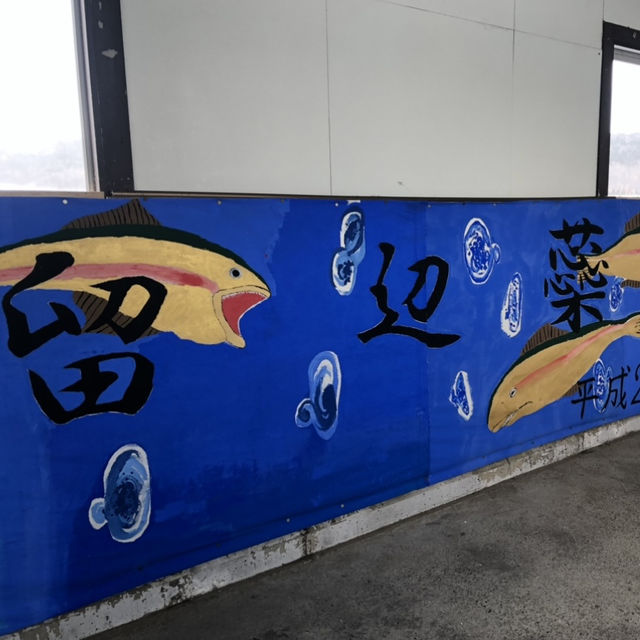 北海道北見🦊近距離親親狐狸牧場