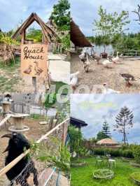 🧤ที่พักฟาร์มสเตย์สุดน่ารัก The life garden