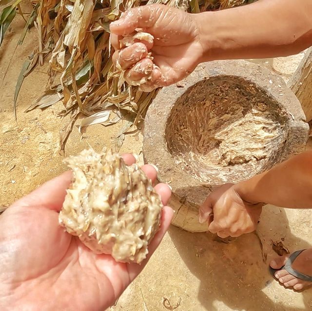 매일 아침 코끼리 모닝콜?! 치앙마이 호텔 추천 [Chai Lai Orchid]
