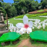 偽出國💖💕西湖渡假村最好拍的維多利亞館小歐風凡爾賽花園