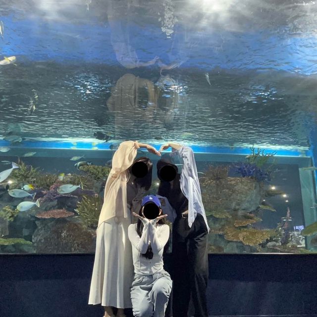 🇯🇵沖縄 DMMかりゆし水族館