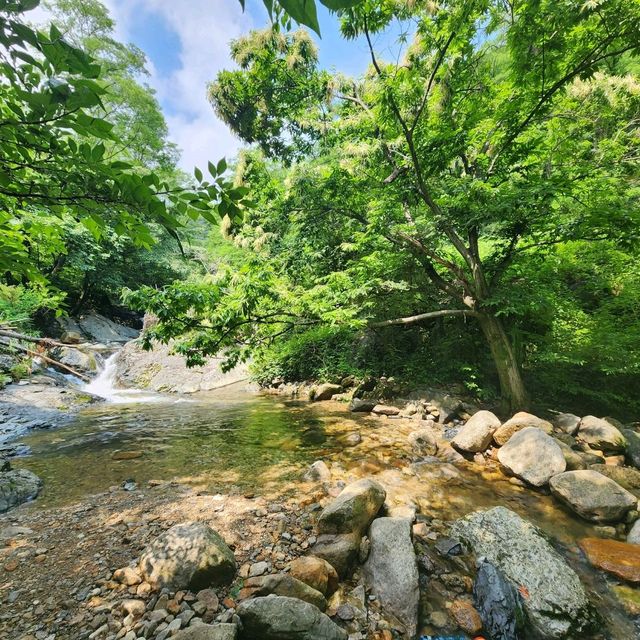 늦여름에 남산계곡에서 힐링을~♡