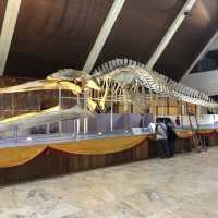 Sabah Museum - Unveiling Treasures