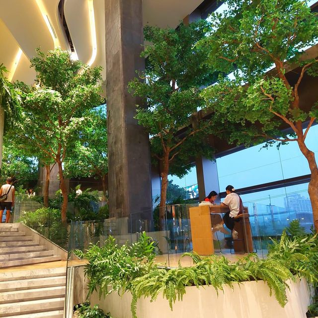 满满的綠色樹木商場SINGHA COMPLEX