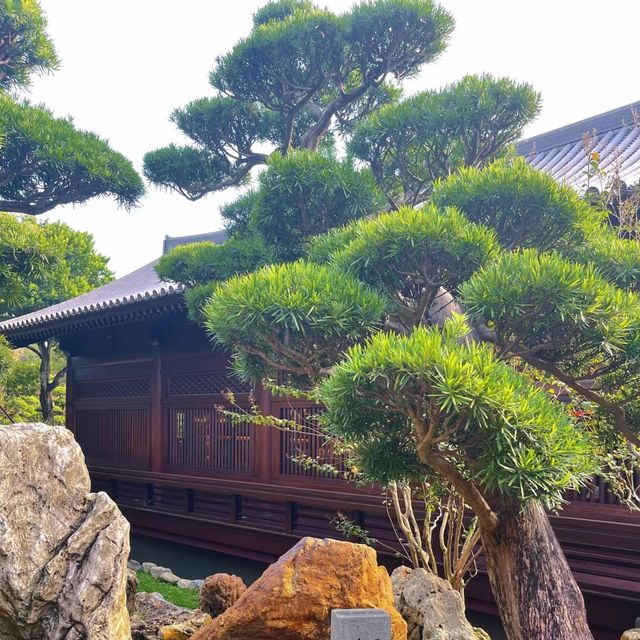 身臨其境的禪意寧靜 🏞️🧘‍♀️ 南蓮園池