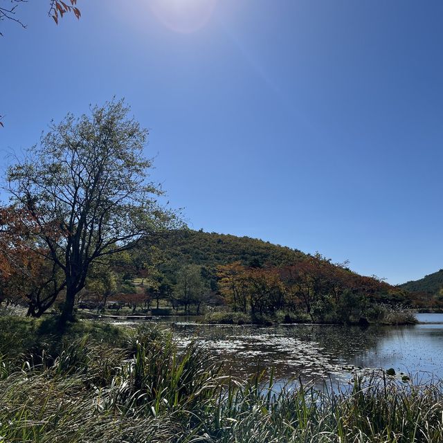 핑클 캠핑클럽 촬영지 화랑의언덕🍃🌳