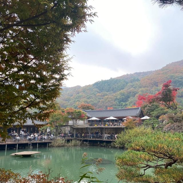 Hwadam Botanic Garden in Autumn season 