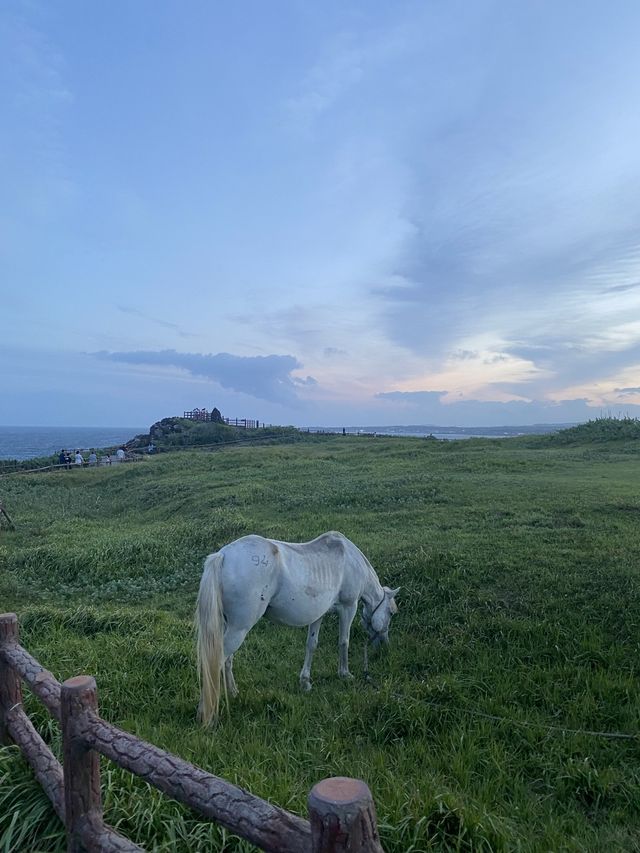해질녘 필수코스! 섭지코지⛰️