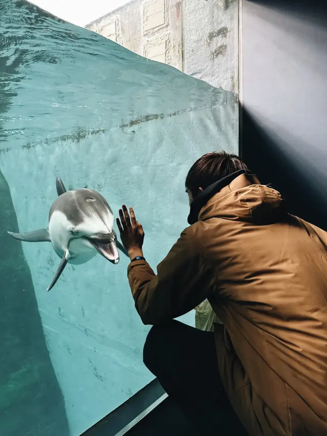 🇯🇵全球最大規模的水族館 — Osaka Aquarium KAIYUKAN - 海遊館