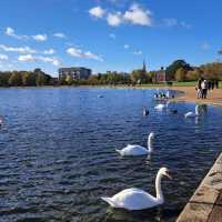 Hyde Park Unveiled: A  London Oasis