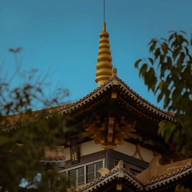 清照寺 🌸🏯和風古寺的心靈寄託🙏🍃
