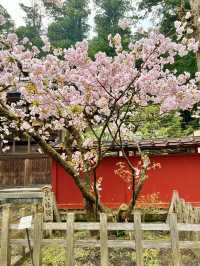 【日光】強力パワースポット　日光二荒山神社