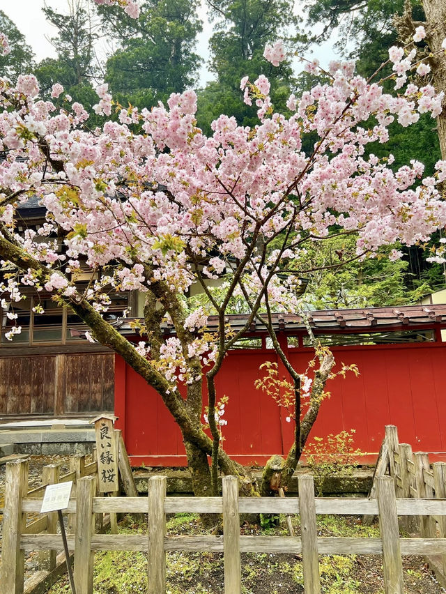 【日光】強力パワースポット　日光二荒山神社