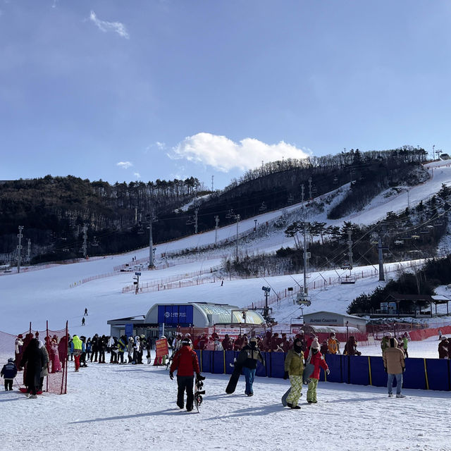 강원도 겨울 필수코스☃️ 눈썰매장으로 떠나요!