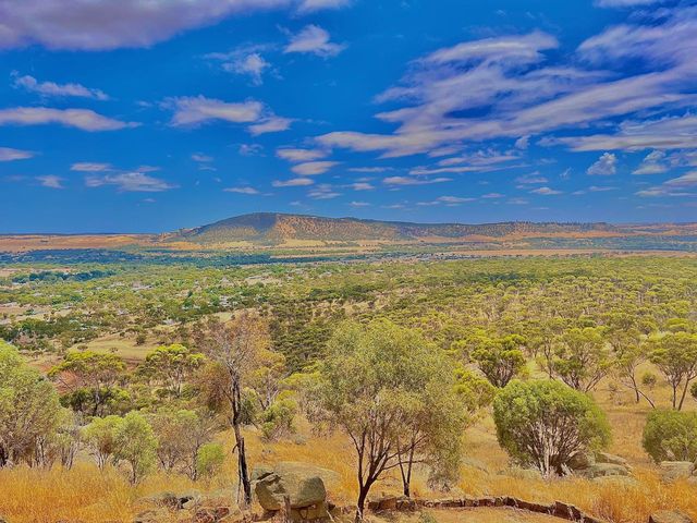 Mt Brown Lookout🏚️😎🤠📸Wongborel🤓