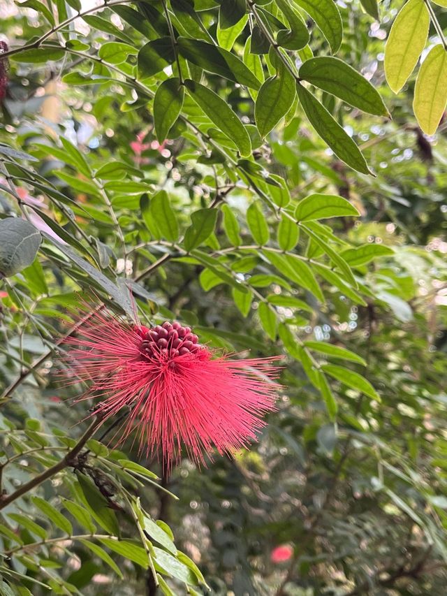 겨울에 따뜻하게 데이트가 하고 싶다면? 서울 식물원🌳