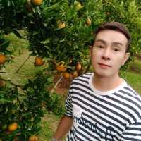 สวนส้มชไมพร🍊🍊